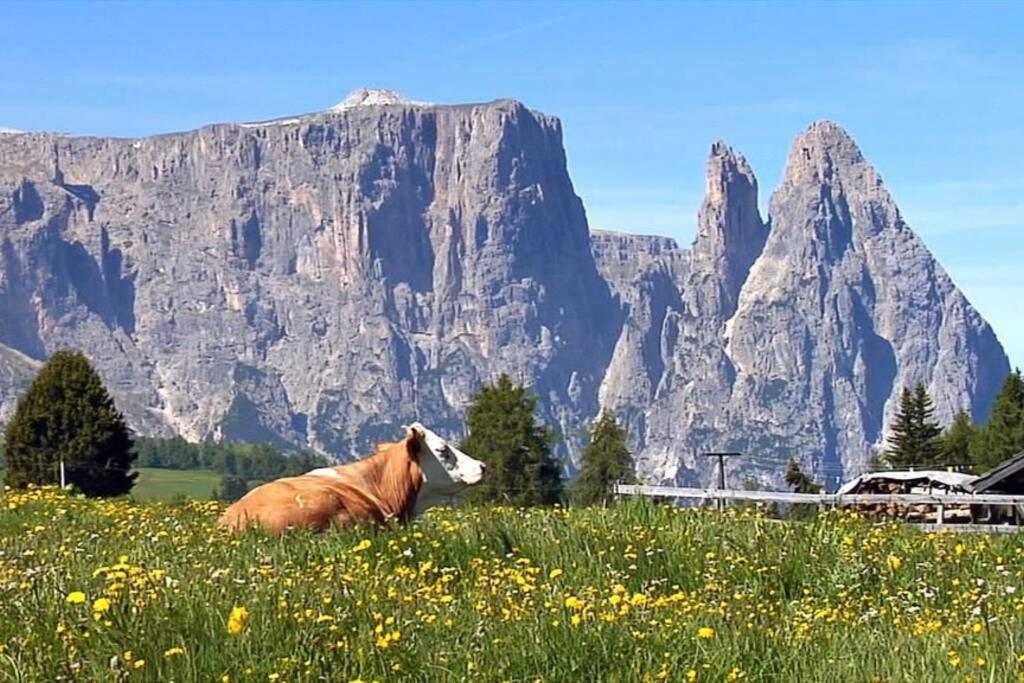 Fantastico Monolocale In Siusi Sciliar公寓 外观 照片