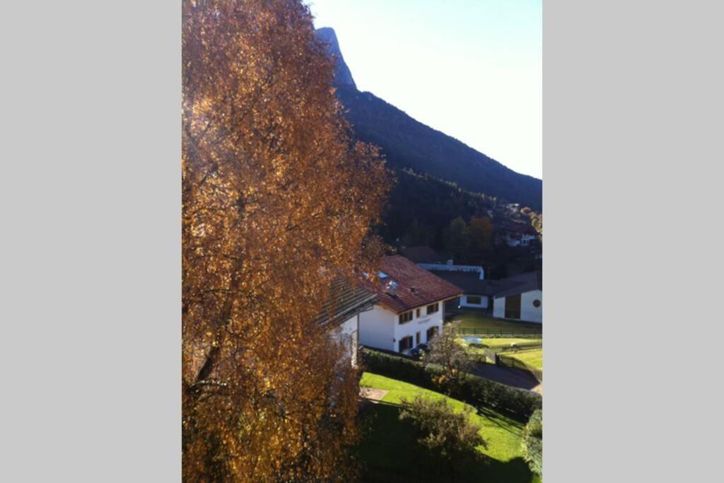 Fantastico Monolocale In Siusi Sciliar公寓 外观 照片