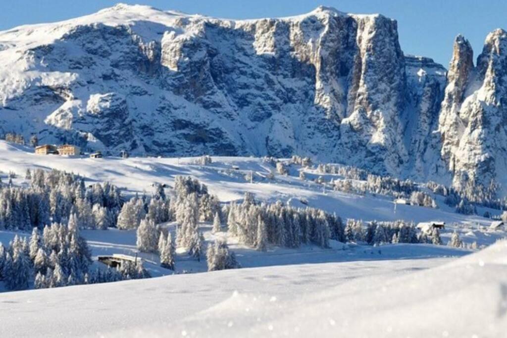 Fantastico Monolocale In Siusi Sciliar公寓 外观 照片